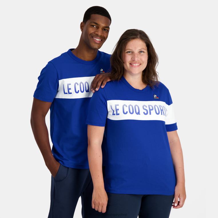 ruházat férfiak Le Coq Sportif divatos póló kék 846V161