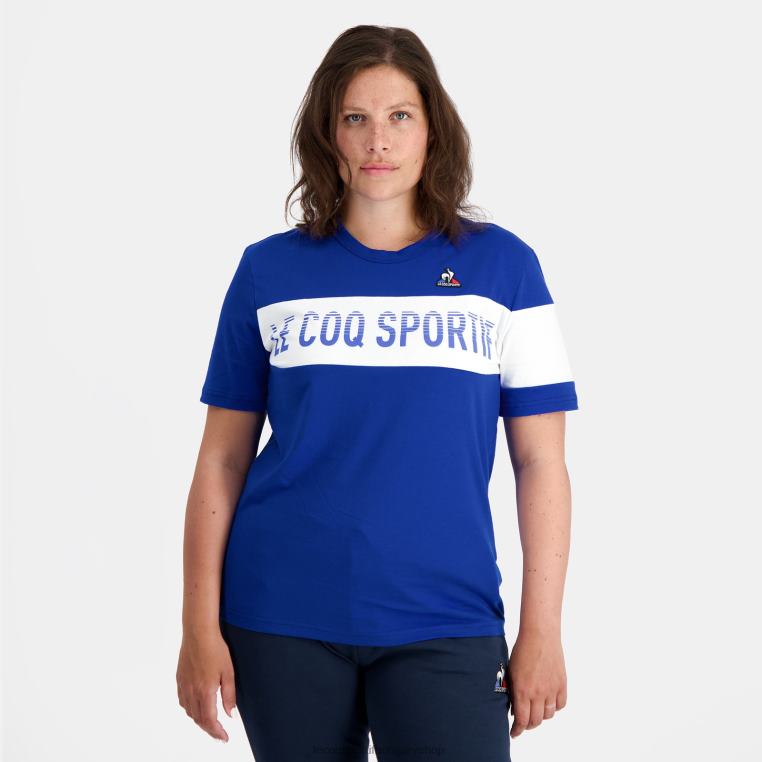 ruházat férfiak Le Coq Sportif divatos póló kék 846V161