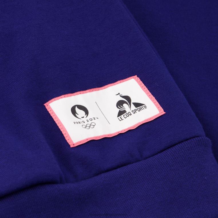 ruházat férfiak Le Coq Sportif kapucnis pulóver kék 846V31