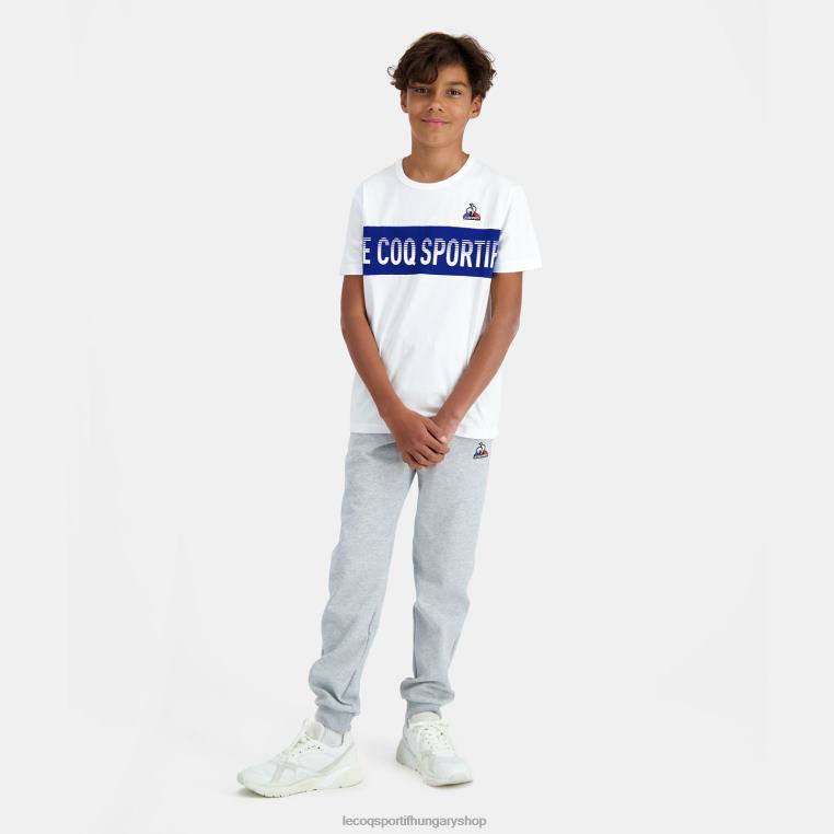 ruházat gyermekek Le Coq Sportif nadrág szürke 846V665