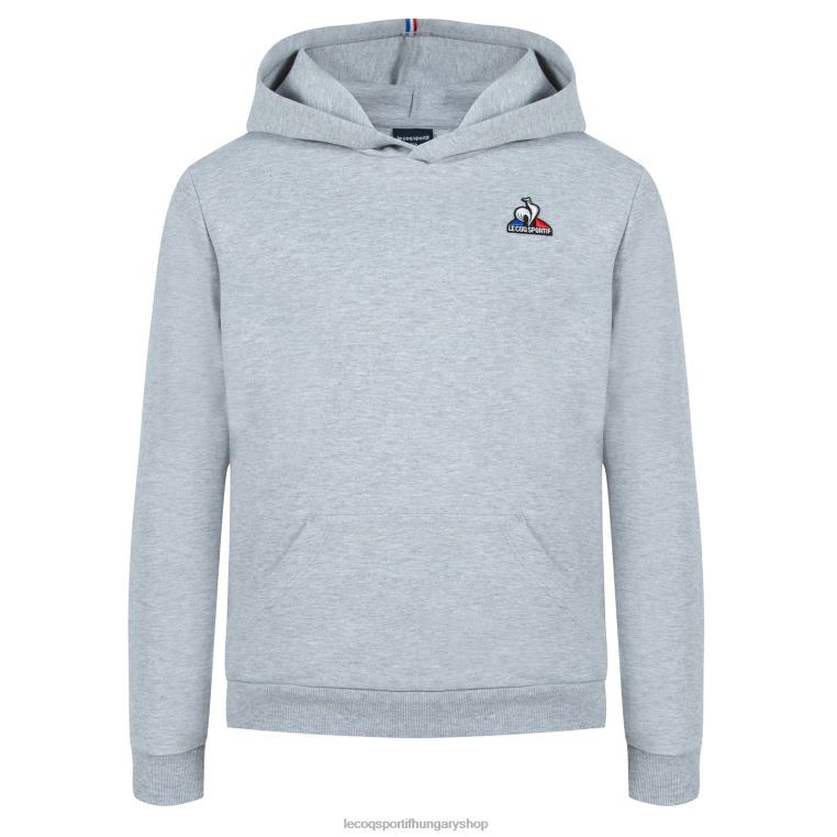 ruházat gyermekek Le Coq Sportif kapucnis pulóver szürke 846V669