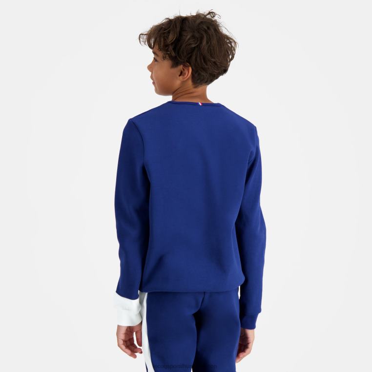 ruházat gyermekek Le Coq Sportif pulóver kék 846V648
