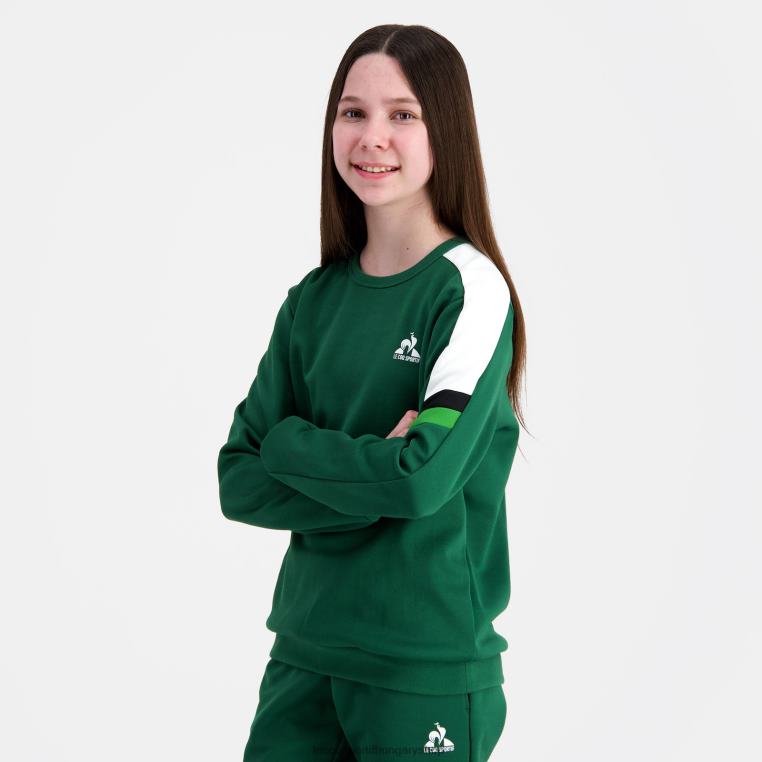 ruházat gyermekek Le Coq Sportif pulóver zöld 846V392